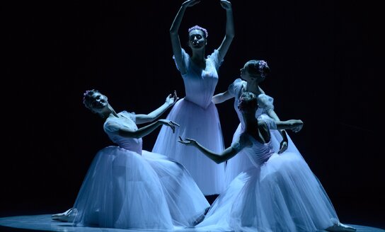 Балетный гала-концерт Национальной школы искусств им. М. К. Чюрлёниса: от романтизма до наших дней