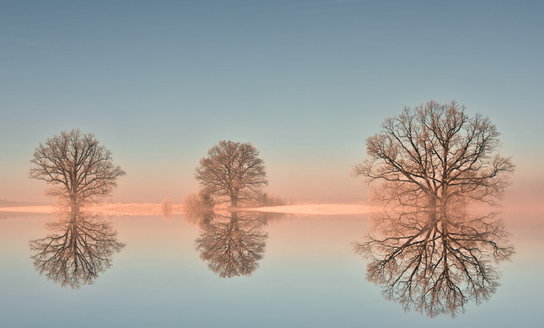 Tėviškės grožis per žmogų ateina