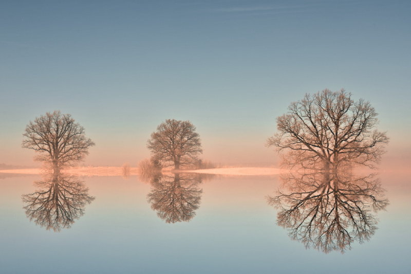 Tėviškės grožis per žmogų ateina