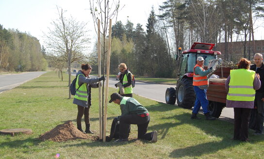 Į miestą atėjo pavasaris