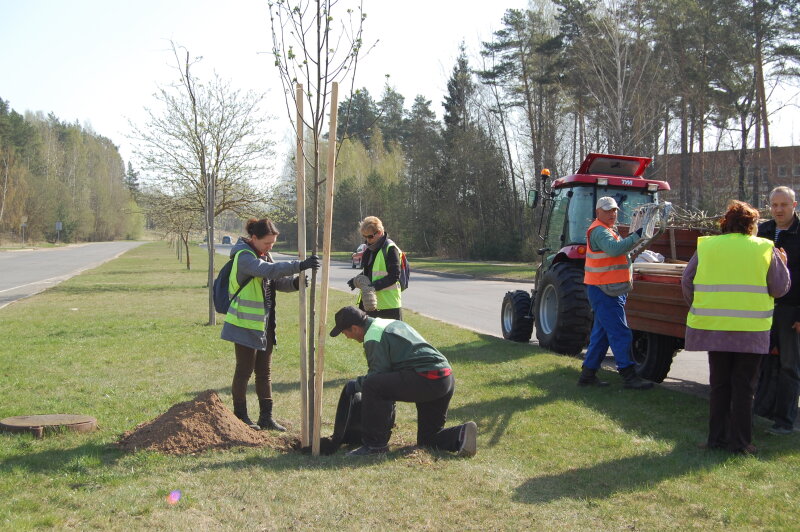 Į miestą atėjo pavasaris
