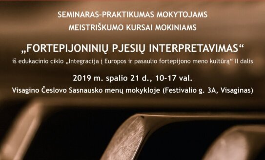 Seminaras-praktikumas mokytojams, meistriškumo kursai mokiniams