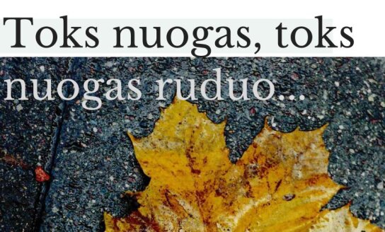 Kviečiame į Nijolės Kliučinskienės parodą