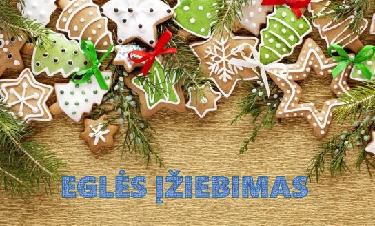 Kviečiame dalyvauti Miesto eglės įžiebimo šventės mugėje!