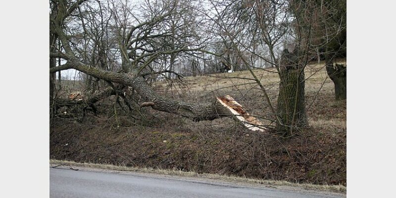  Perspėjimas apie pavojingą meteorologinį reiškinį – vėją