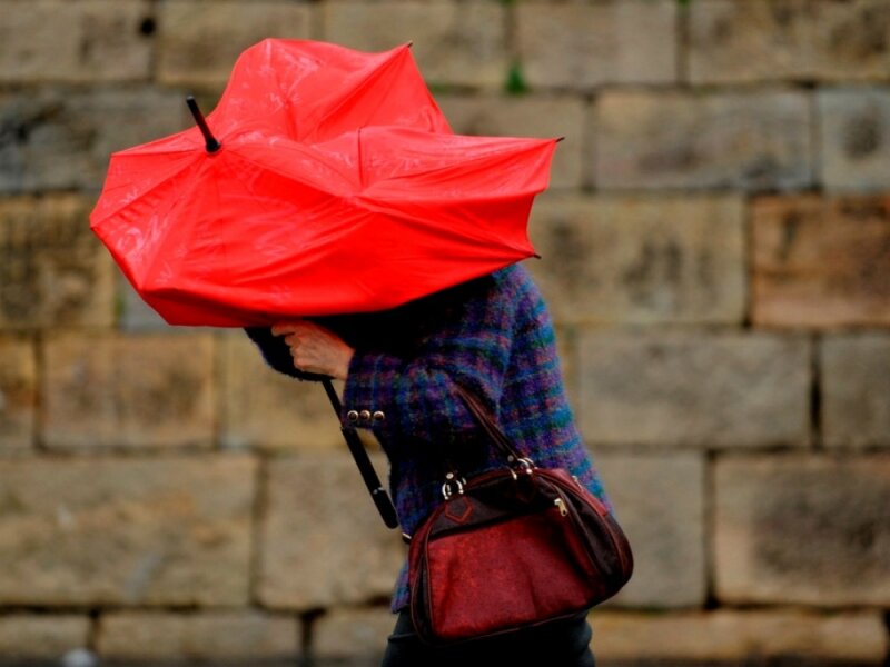 Perspėjimas apie pavojingą meteorologinį reiškinį – vėją