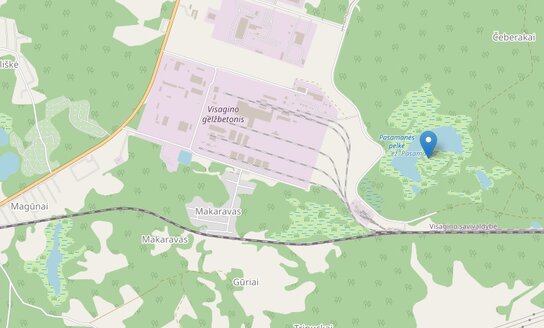 Dėl Visagino savivaldybės Pasamanės ežero telkinio sapropelio išteklių naudojimo plano rengimo...