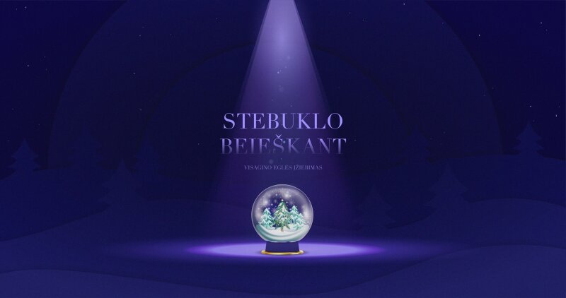 Stebuklo beieškant – Miesto eglės įžiebimas