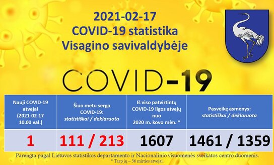 2021-02-17: COVID-19 situacija Visagine