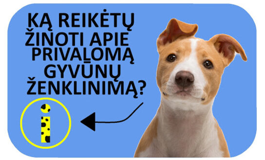 Nuo š. m. gegužės 1 d. – privalomas šunų ir kačių ženklinimas