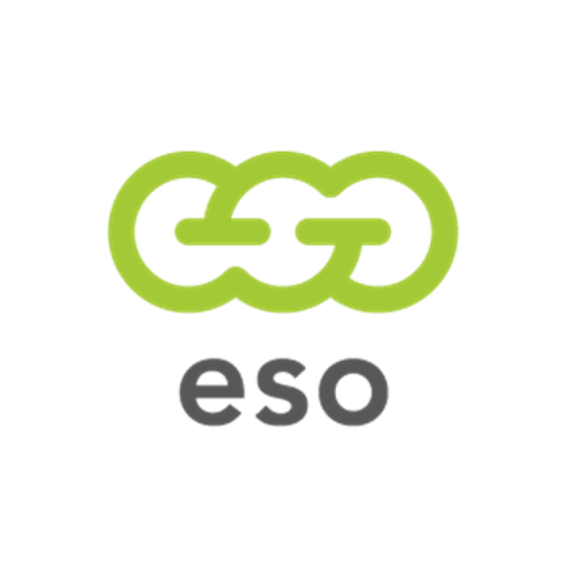 Elektros energijos skirstymo operatorius (ESO) atkreipia dėmesį dėl žemės kasimo darbų vykdymo