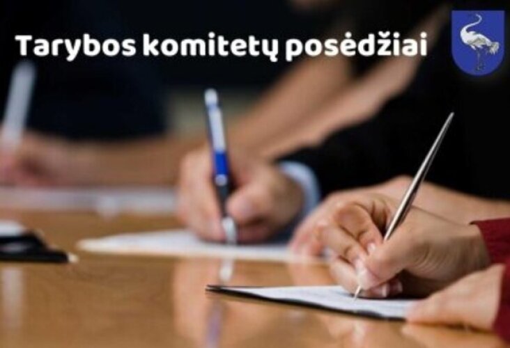 Paveikslelis, susijęs su Šaukiamas KONTROLĖS komiteto posėdis