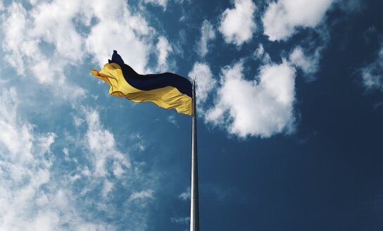 Karo Ukrainoje pradžios metinėms..