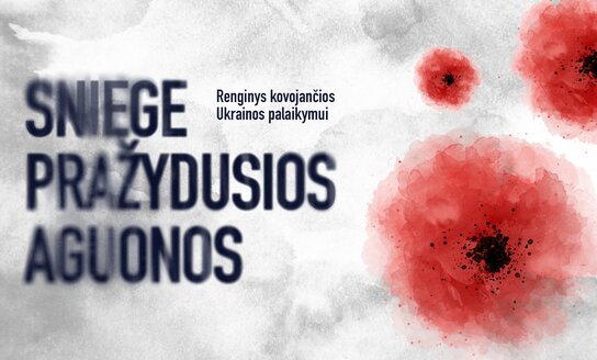 Мероприятие, посвященное годовщине войны и поддержке сражающейся Украины