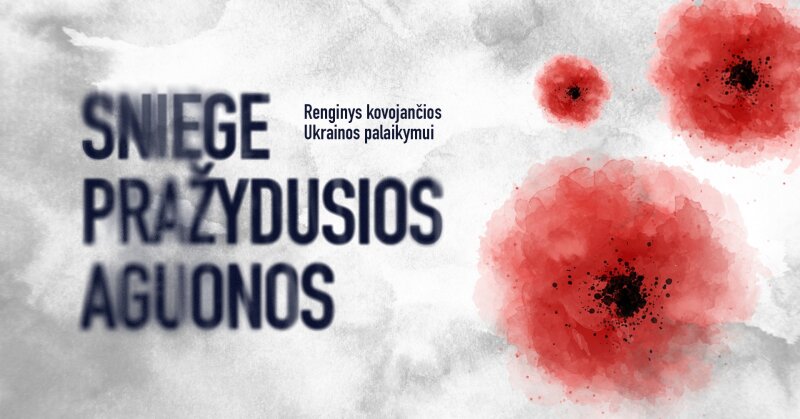 Мероприятие, посвященное годовщине войны и поддержке сражающейся Украины