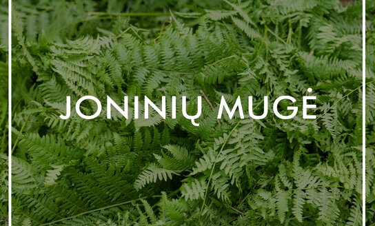 Visagino kultūros centras kviečia produkciją parduodančius prekybininkus į „Joninių“ mugę