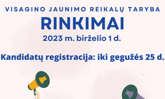 Kviečiame jaunimą kandidatuoti į Visagino savivaldybės jaunimo reikalų tarybą