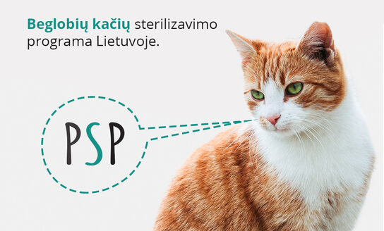 „Pagauk – sterilizuok – paleisk“  –  beglobių kačių sterilizavimo programa Lietuvoje