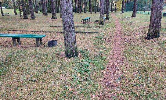 Visaginas gražinasi: pradedame tako prie Visagino „Atgimimo“ gimnazijos remontą