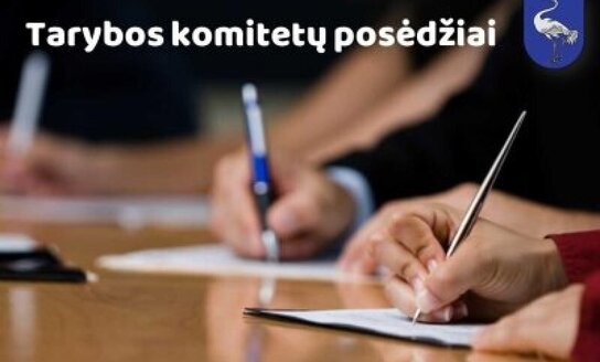 Birželio 20-22 dienomis vyks Visagino savivaldybės tarybos komitetų posėdžiai