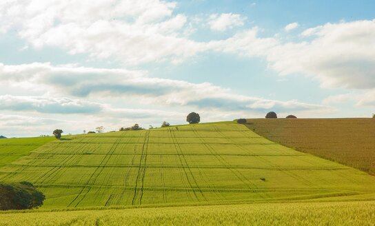 Dėl asmenų aptarnavimo VĮ Žemės ūkio duomenų centre 2023 m. liepos 11–12 d.