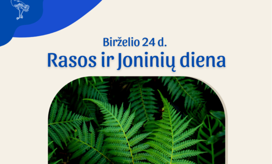 Birželio 24 dieną švenčiame Rasos ir Joninių dieną!