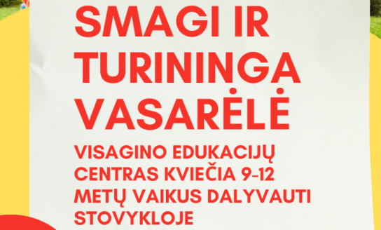 Vaikų vasaros poilsio ir užimtumo stovykla „Smagi ir turininga vasarėlė“ (9-12 metų vaikams)