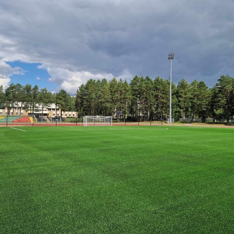 Baigti stadiono dangos atnaujinimo darbai