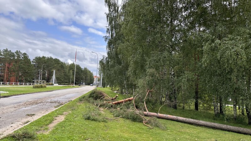 Visagino mieste aktyviai šalinami audros padariniai