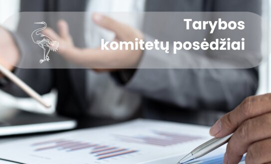 Rugsėjo 6 d. vyks Visagino savivaldybės tarybos komitetų posėdžiai