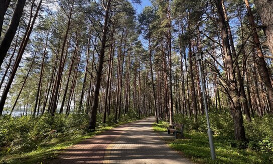 Padėka už neabejingumą dėl audros susiklosčiusiai situacijai
