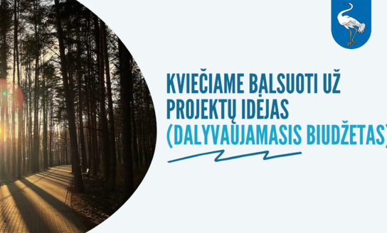 Kviečiame balsuoti už projektų idėjas (dalyvaujamasis biudžetas)!
