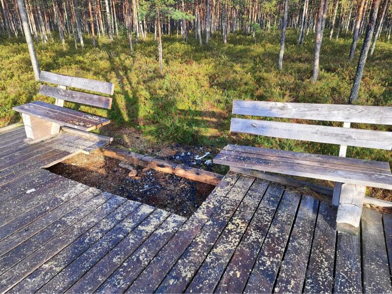 Mūsų mylimą mišką galėjo ištikti nelaimė