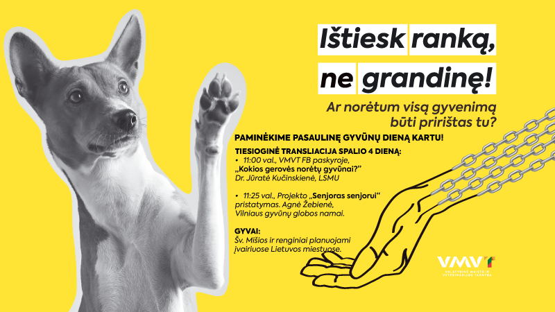 Valstybinė maisto ir veterinarijos tarnyba kviečia prisijungti prie pamaldų, skirtų gyvūnams