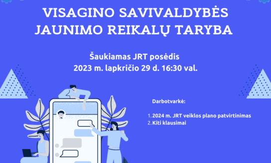 Visagino Jaunimo reikalų tarybos posėdis