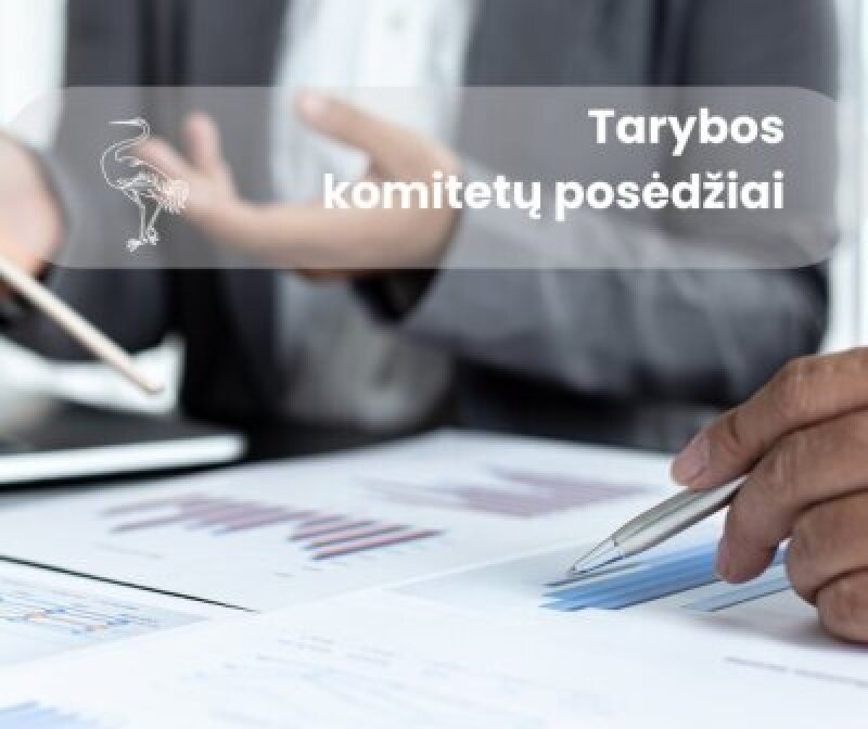 Sausio 30-31 d. d. vyks savivaldybės tarybos komiteto posėdžiai
