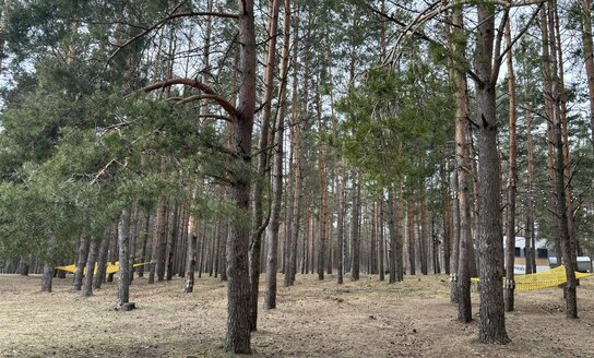 Meras praneša apie miško tvarkymo darbus ir ilgai lauktas naujienas