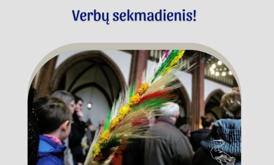 Verbų sekmadienis!