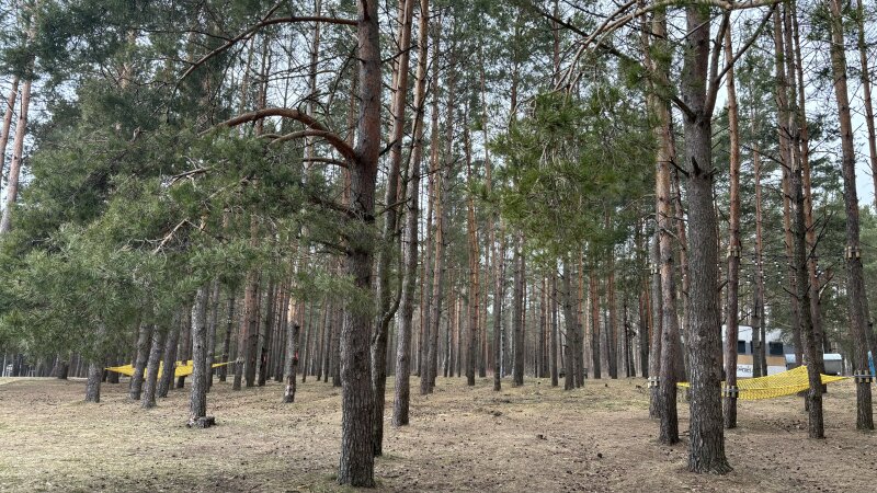Meras praneša apie miško tvarkymo darbus ir ilgai lauktas naujienas