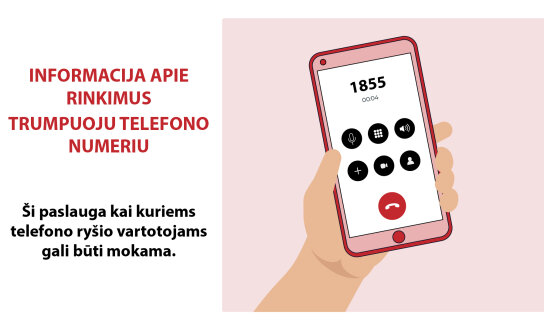 Rinkėjų pašto dėžutėse – pranešimai apie dvejus rinkimus