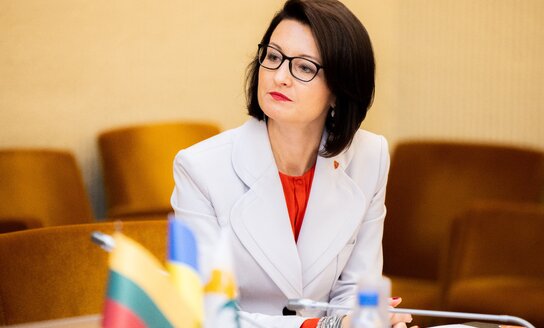 Referendumui dėl pilietybės išsaugojimo artėjant – ką svarbu žinoti?