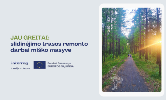 Jau greitai: slidinėjimo trasos remonto darbai miško masyve