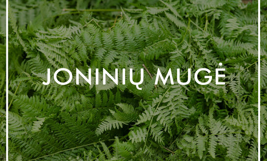 Joninių mugės informacija