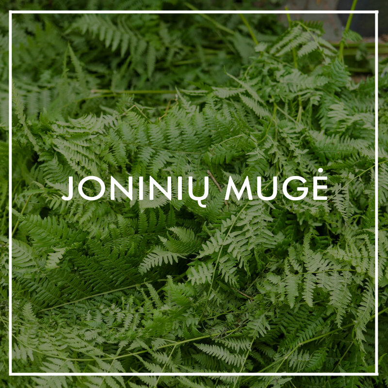 Joninių mugės informacija