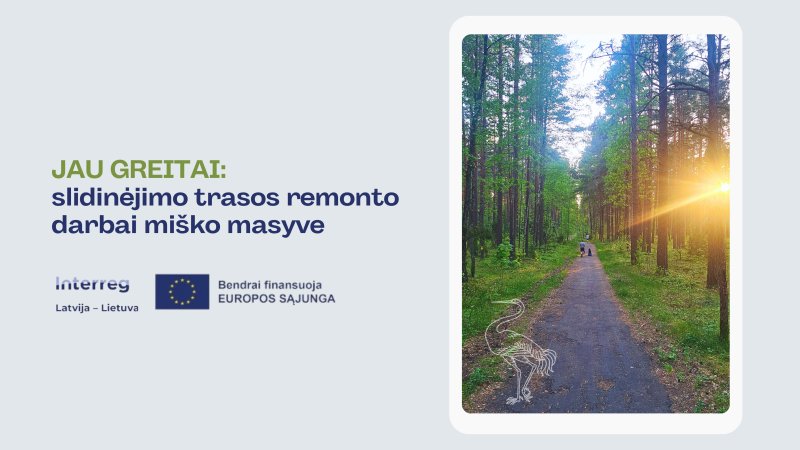 Jau greitai: slidinėjimo trasos remonto darbai miško masyve
