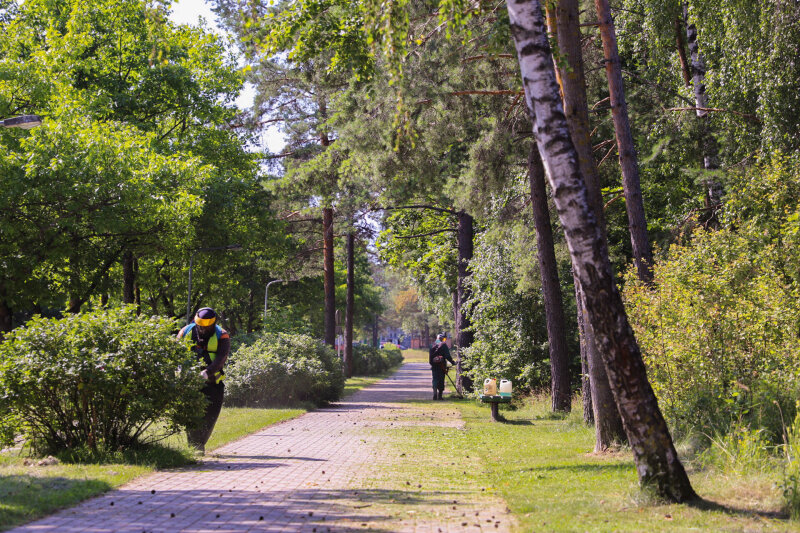 Preliminarus šienavimo grafikas nuo liepos 22 dienos