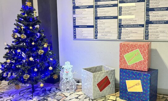 Paramos akcija „Kalėdinė šypsena pafrontės vaiko, senolio, kario veide“