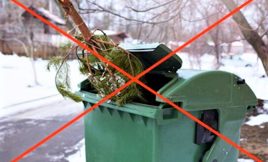 Kur palikti nupuoštą eglutę Visagine