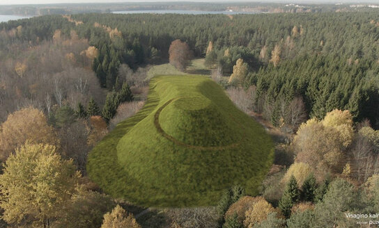 Savivaldybė sulaukė liūdinančio atsako iš ekspertų dėl medžių