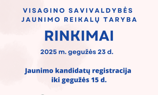 Jaunimo atstovų į Visagino savivaldybės jaunimo reikalų tarybą rinkimai